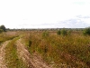 village-13