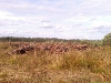 village-14