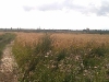 village-15