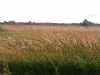 village-16