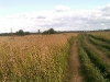 village-18