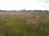 village-19