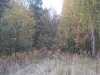 wood-04