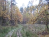 wood-05