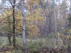 wood-06