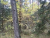 wood-12