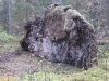 wood-13