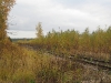 wood-16