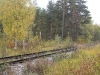 wood-17