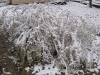 snow-02