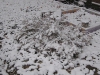 snow-03
