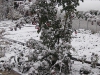 snow-05