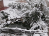 snow-06