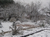 snow-07
