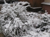 snow-08