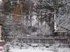 snow-09