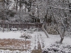 snow-11