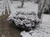 snow-12
