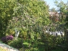 yard-01