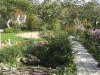 yard-03