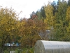 yard-06