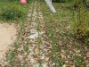yard-07