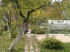 yard-09