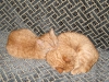 brothers-04