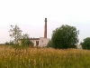 plant-01