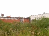 plant-08