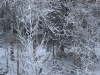 village-03