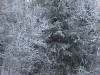 village-04