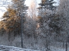 village-06