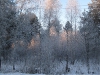 village-07