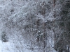 village-08