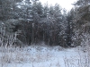 village-13