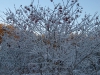 village-17