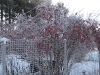village-21