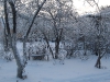 yard-03