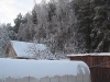 yard-04