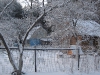 yard-05