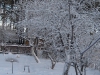yard-06