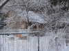 yard-07