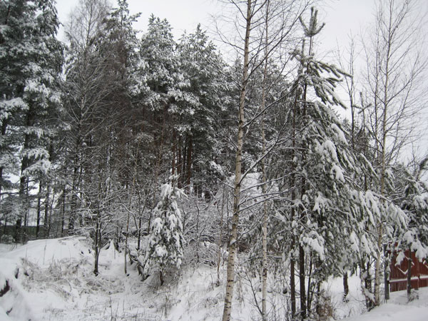 Зима-02 title=