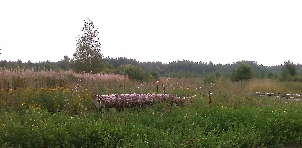 village-06